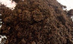 測(cè)土配方施肥儀提高果園生產(chǎn)效率